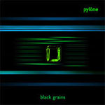 Pylône - Black Grains